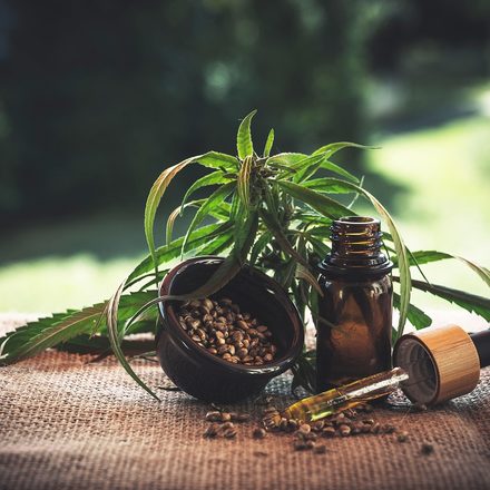 頭皮與洗護分類