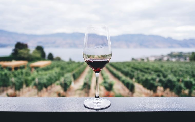 酒類專賣網站模版　TERRA VINO 首頁畫面